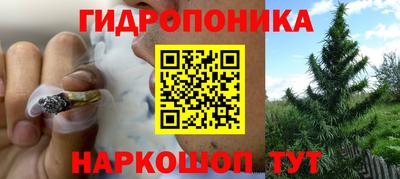 ГАЛЛЮЦИНОГЕННЫЕ ГРИБЫ Гуково