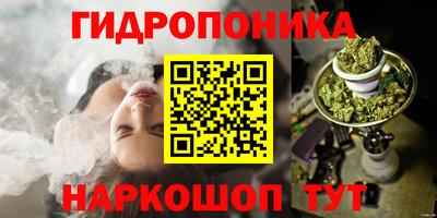 ешки Гудермес