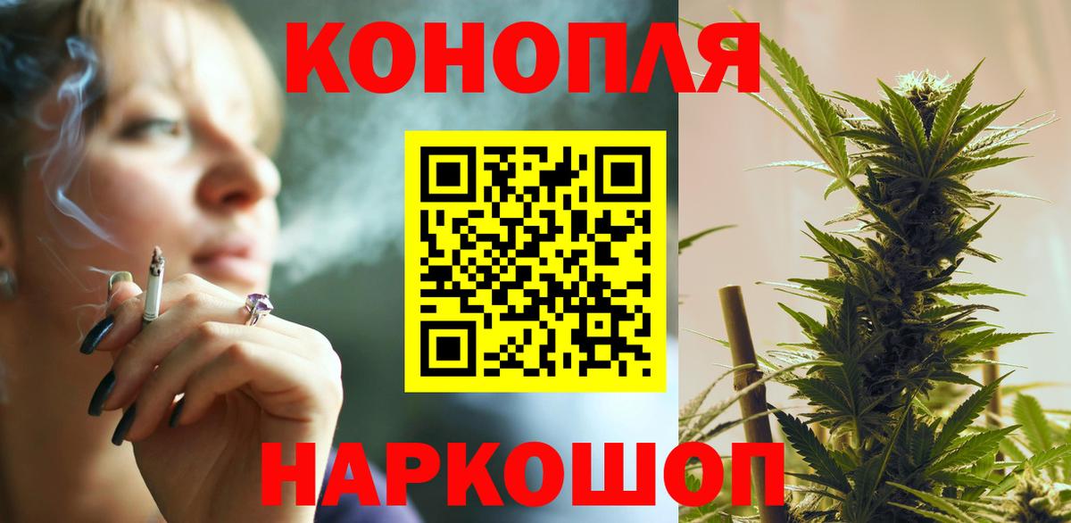 Конопля MAZAR Губаха