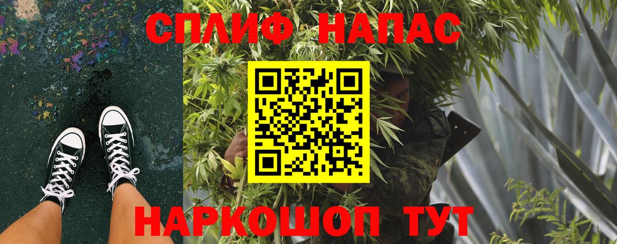 Канабис MAZAR  Вход с VPN  Губаха  Бошки Шишки ГИДРОПОН  Каннабис семена 